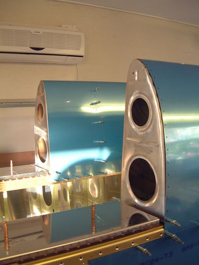 wings-109-400x533