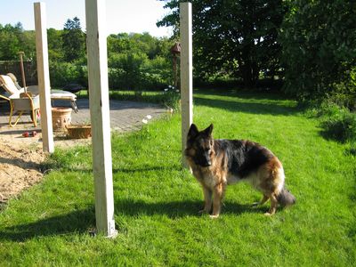 wooddeck-003-400x300.jpg